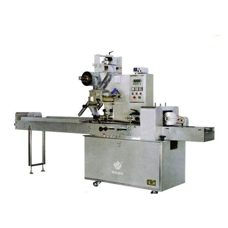 Pillow Type Packing Machine LSZ-250